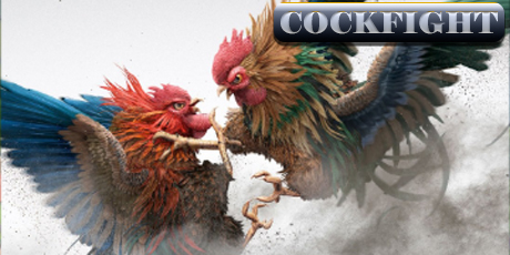 cockfighting